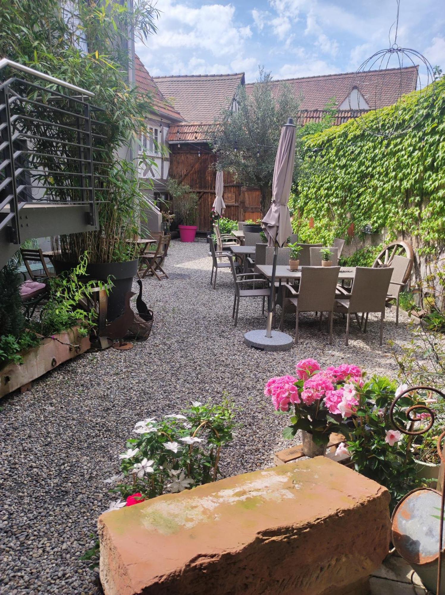 Hofgarten Rosa Ilbesheim bei Landau in der Pfalz Ngoại thất bức ảnh