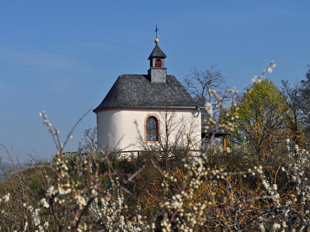 Hofgarten Rosa Ilbesheim bei Landau in der Pfalz Ngoại thất bức ảnh